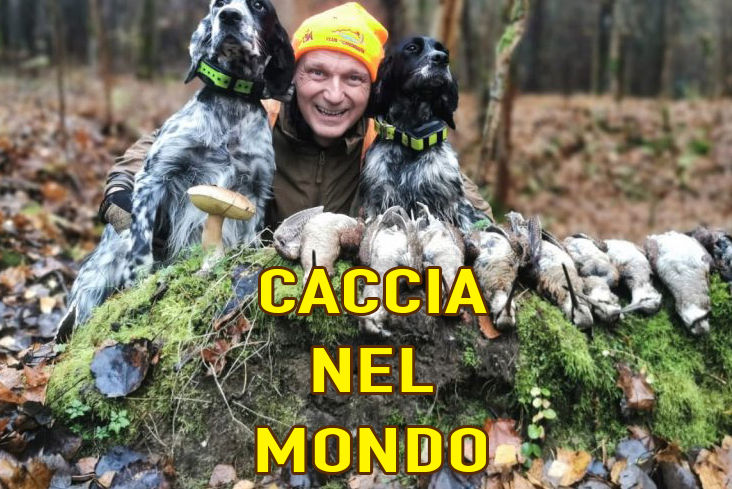 caccia alla tortora in macedonia caccia nel mondo