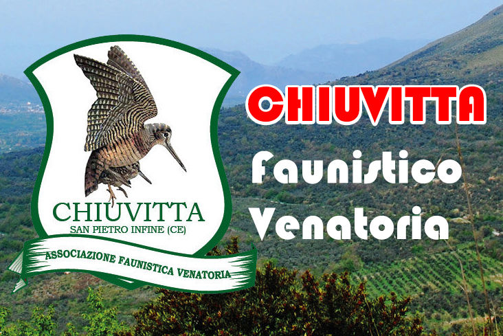 tenuta bonicelli caccia alla beccaccia in campania