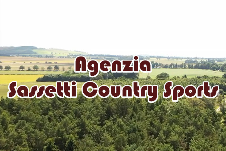 caccia alla quaglia in bulgaria sassetti country sports